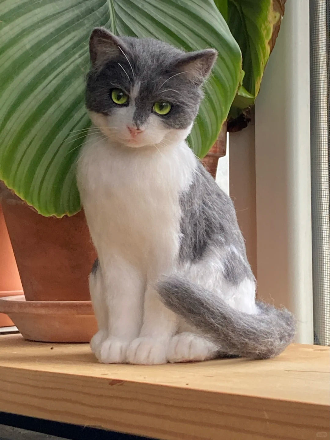 Gray and white cat sitting on a wooden surface with a green leafy plant in the background