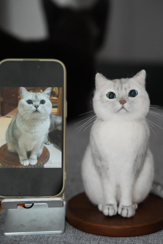 Cat sitting on a wooden surface with a phone displaying an image of another cat.