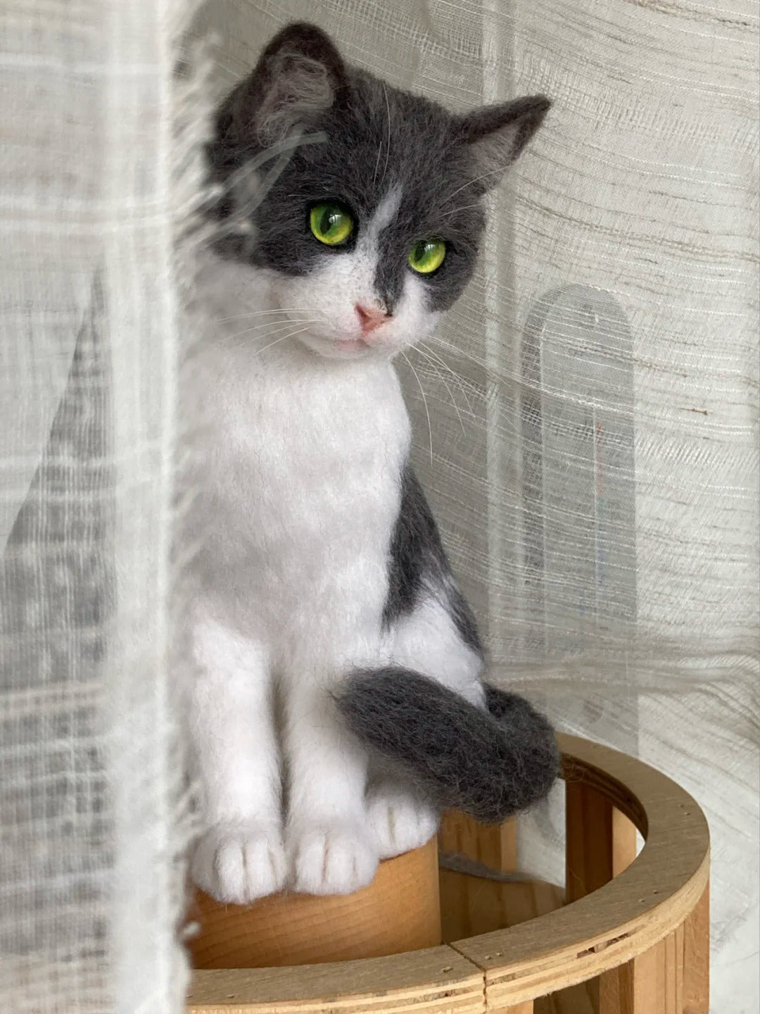 Gray and white cat with green eyes sitting on a wooden stool against a neutral background