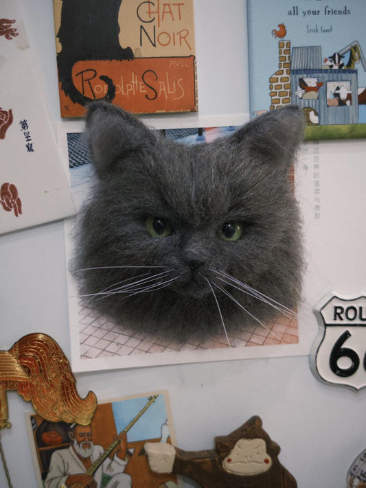 Gray cat with green eyes on a wall with various posters and decorations