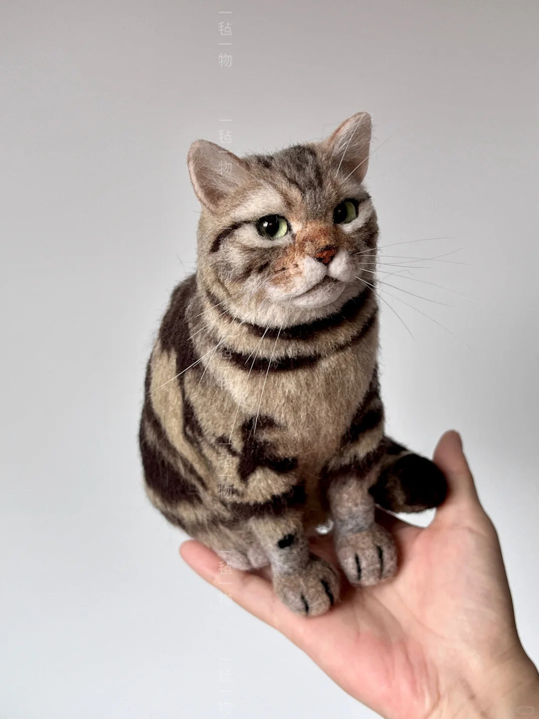 Small cat held in a hand against a plain background