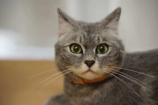 What Makes a Custom Pet Portrait Special?
