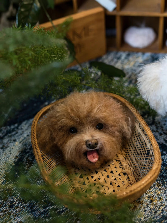 Cute or Creepy? Realistic Pet Portrait Keychains