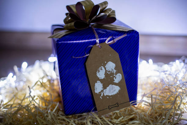 Pet Memorials