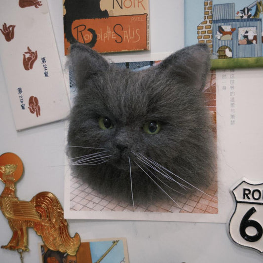 Gray cat sitting on a surface with various small objects and posters around