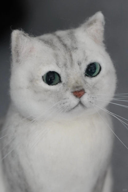 Close-up of a cat with a gray and white fur pattern on a dark background