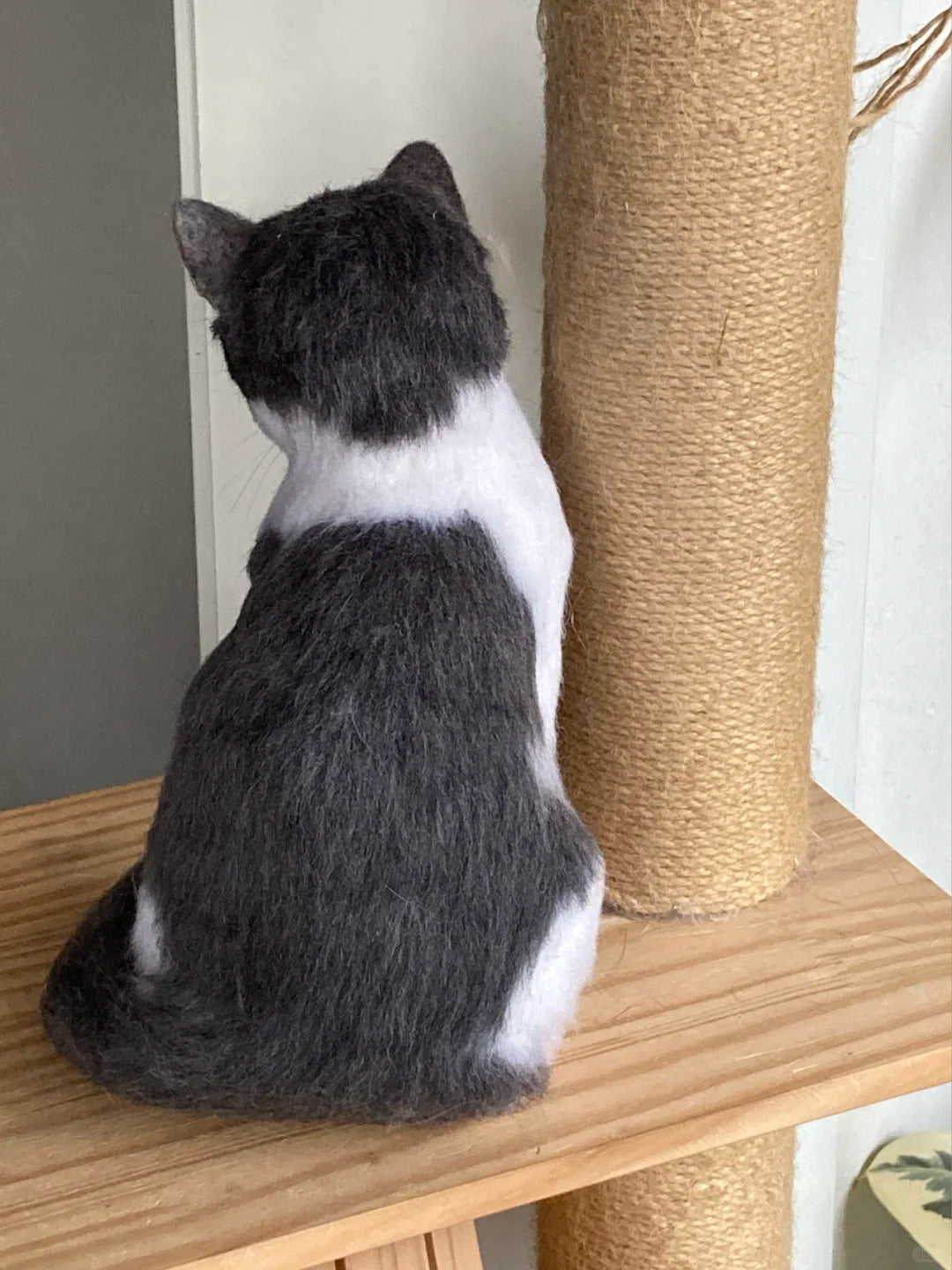 Black and white cat sitting on a wooden shelf next to a scratching post.