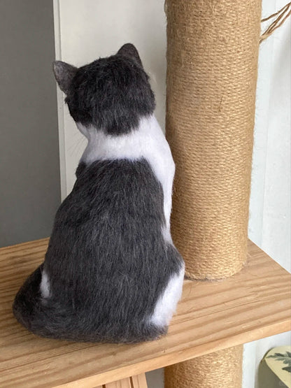 Black and white cat sitting on a wooden shelf next to a scratching post.