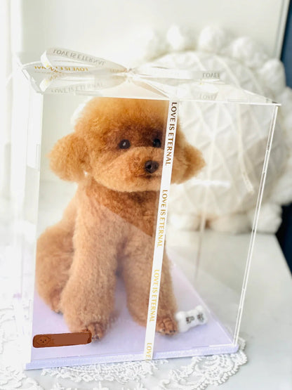 Stuffed toy dog in a clear packaging with text on a white background