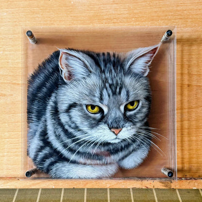 Custom 3D Pet Portrait in Clear Acrylic Frame