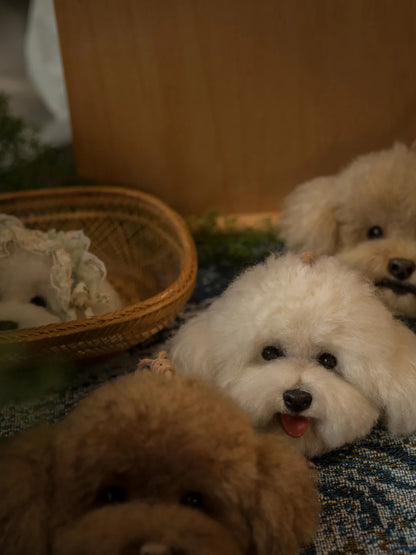 Three small dogs, two white and one brown, sitting together on a textured surface with a blurred background.