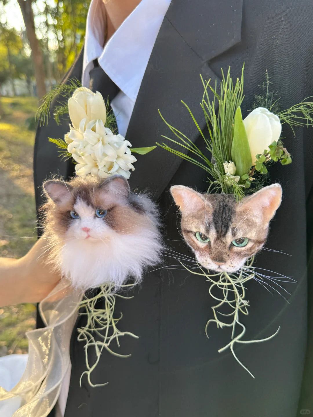 Two cats wearing flower boutonnieres on a person's suit jacket outdoors.
