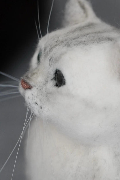 Close-up of a white cat's face with a dark background