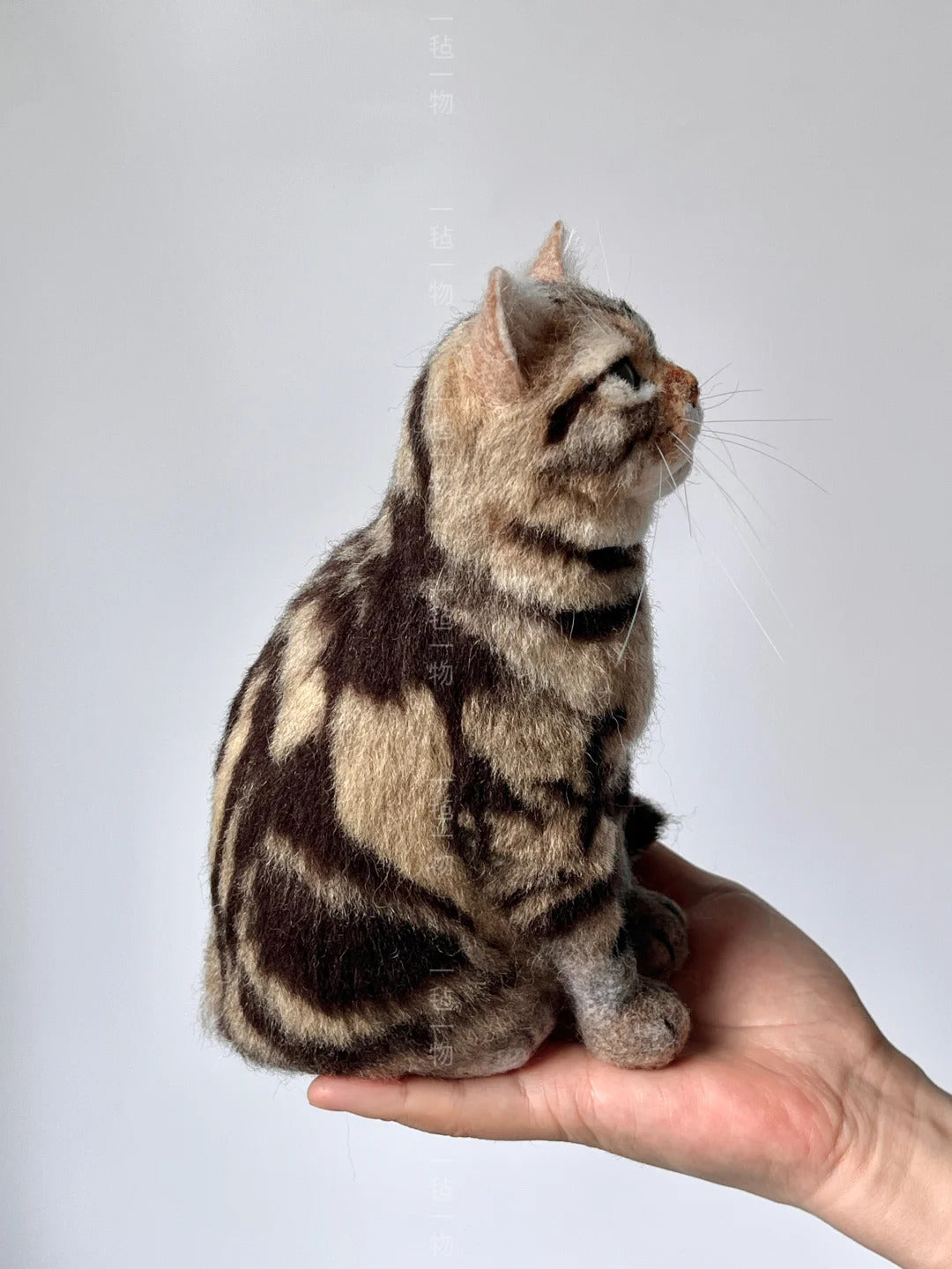 Striped cat being held in a hand against a plain background