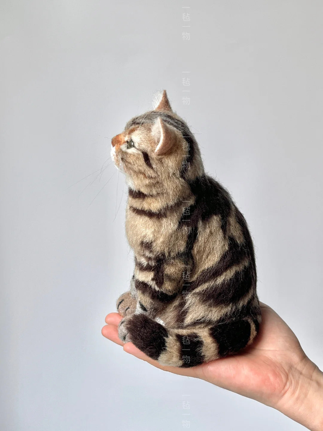 Striped cat held in a hand against a plain background