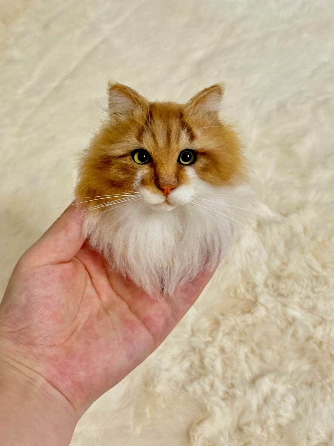 Small orange and white cat held in a hand against a beige background