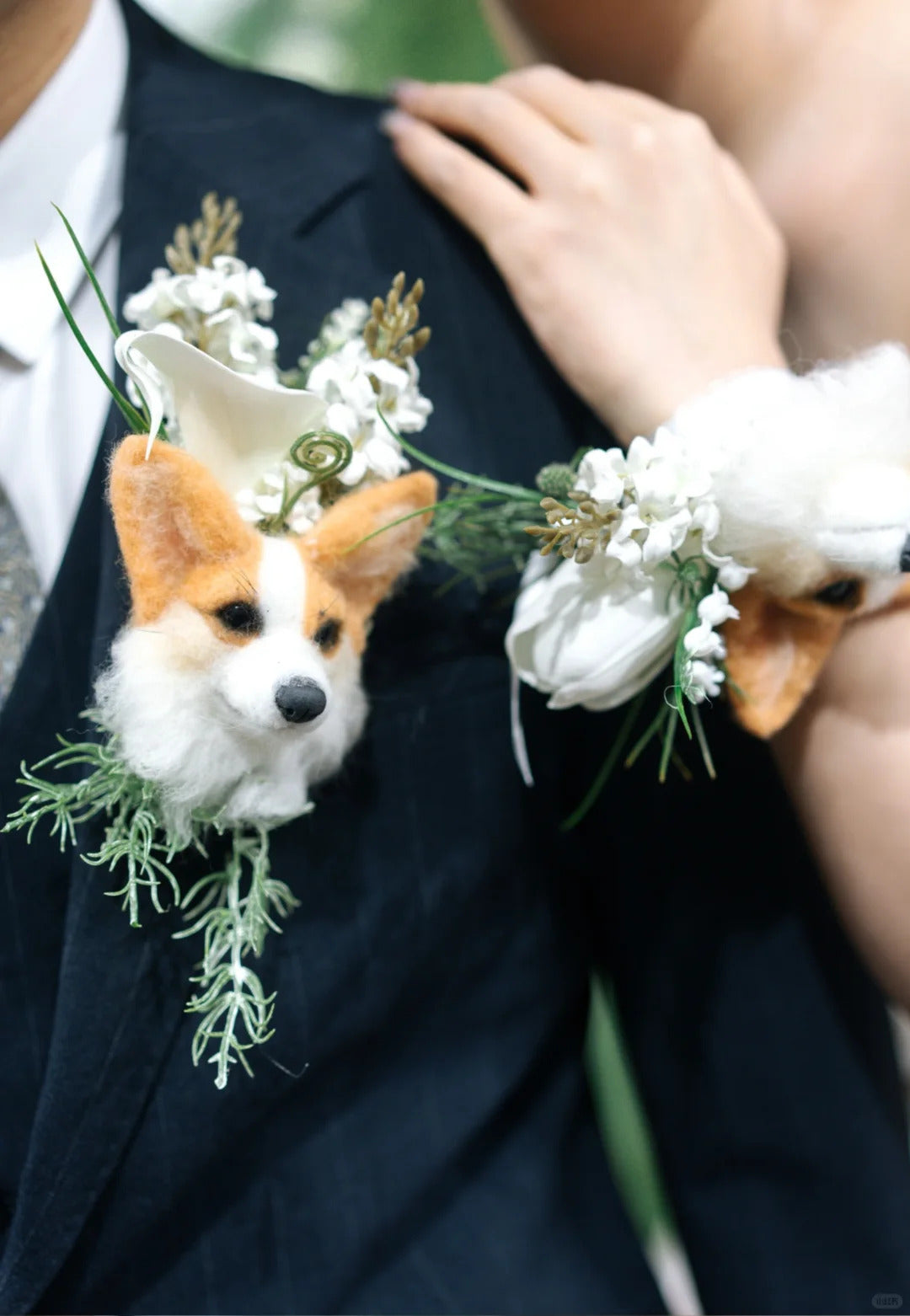 Dog wearing a boutonniere with white flowers and greenery on a dark suit.
