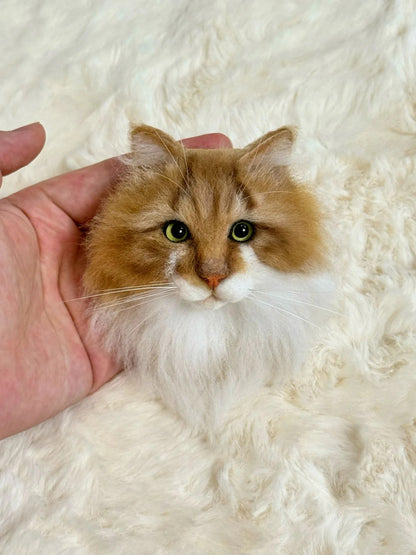Small orange and white cat being held on a fluffy white surface