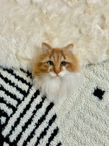 Cat sitting on a fluffy white rug with a black and white patterned pillow.