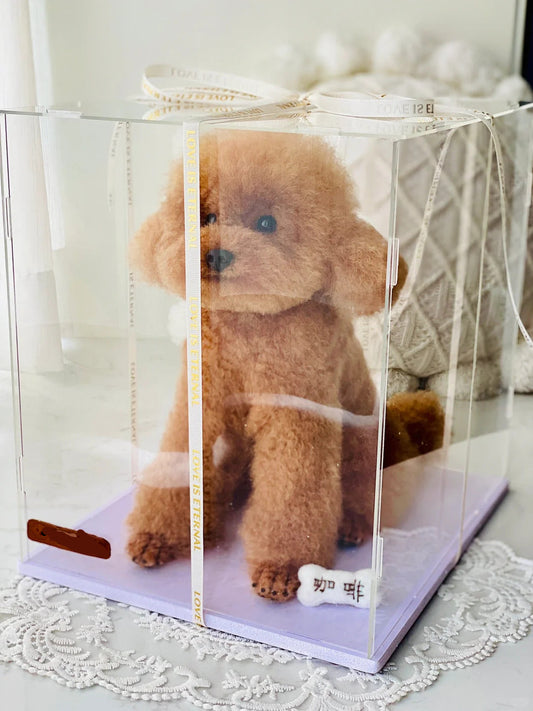 Brown teddy bear in a clear display box on a white surface with lace.