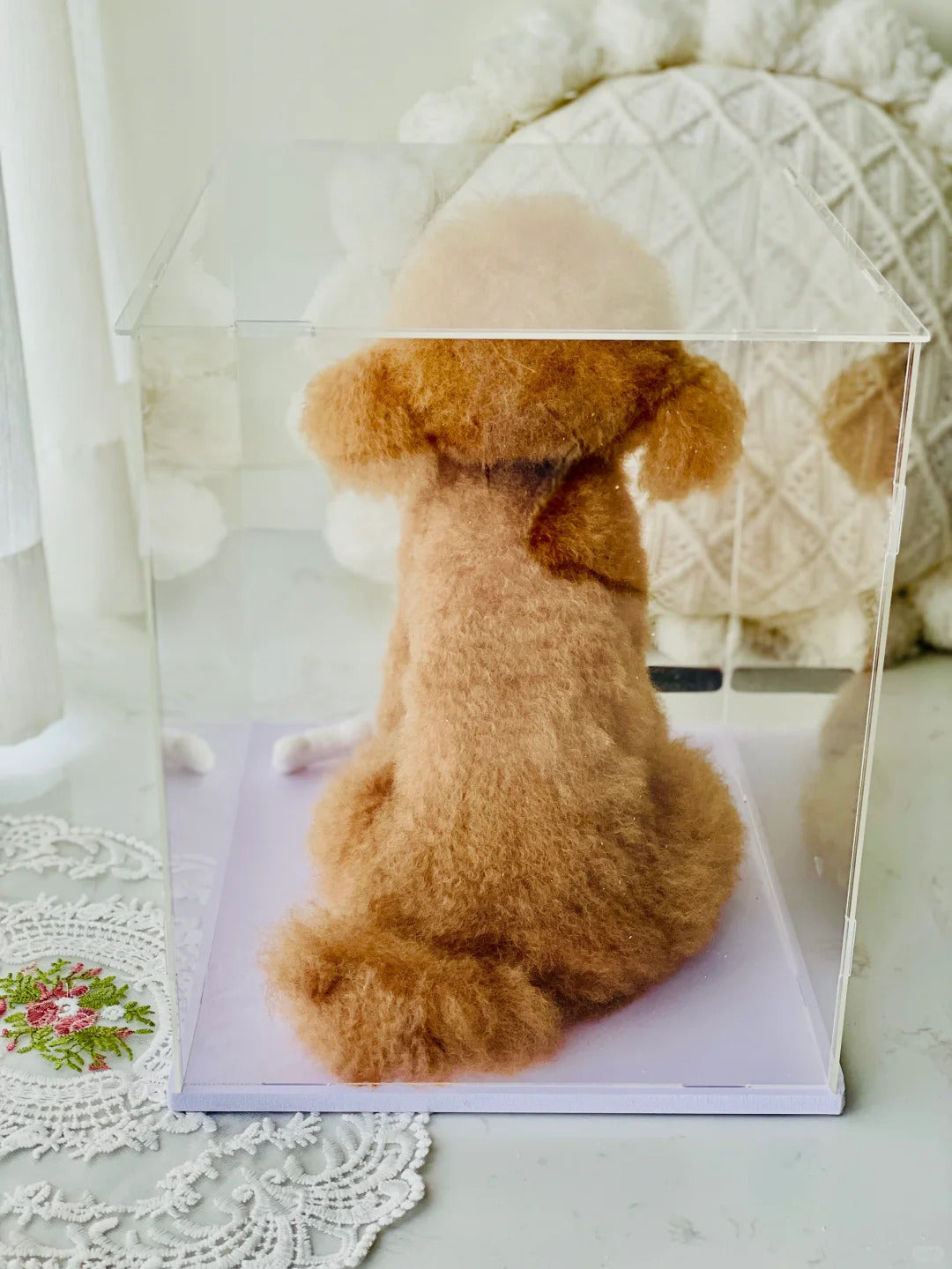 Brown dog sitting inside a clear acrylic box on a white surface with a textured white background.